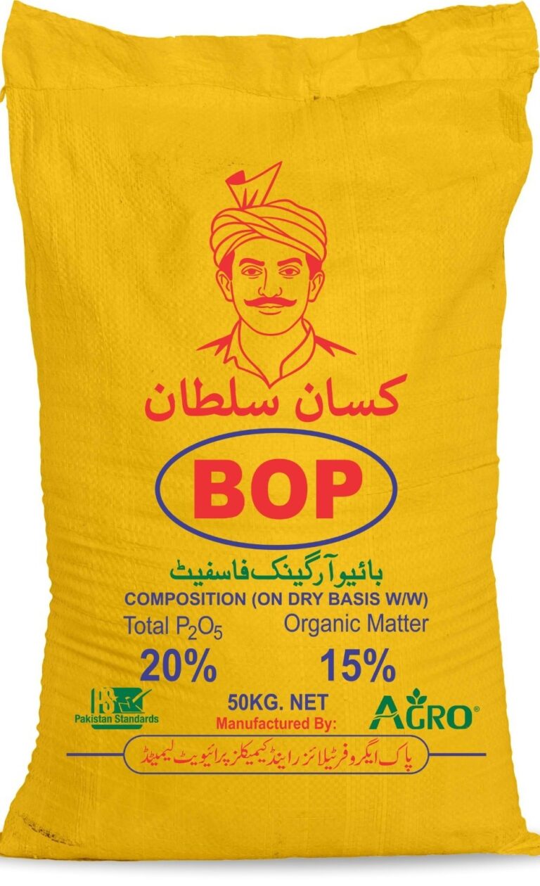 WhatsApp Image 2026-01-09 at 12.19