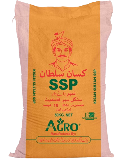 WhatsApp_Image_2025-12-19_at_12.47