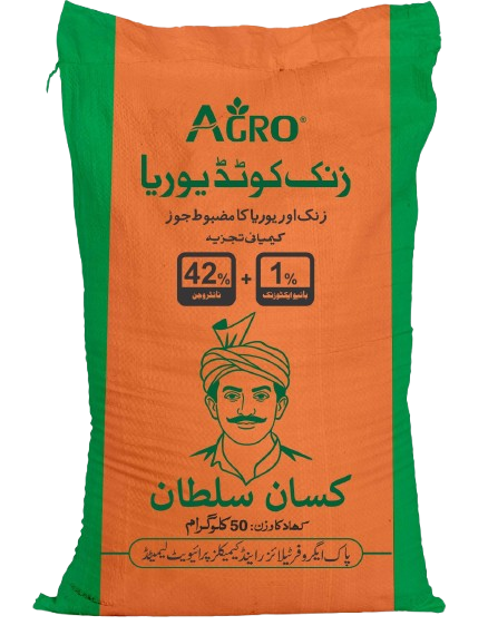 WhatsApp_Image_2025-12-19_at_12.47