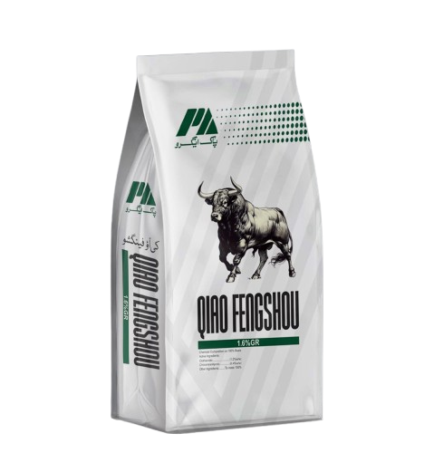 WhatsApp_Image_2025-12-19_at_12.47