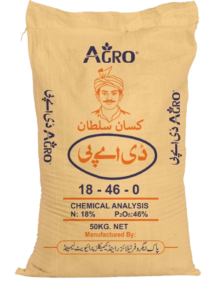 WhatsApp_Image_2025-12-19_at_12.47