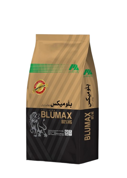 WhatsApp_Image_2025-12-19_at_12.47