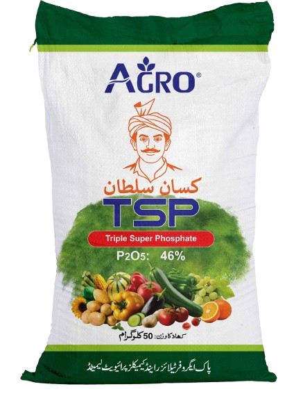 WhatsApp_Image_2025-12-19_at_12.52