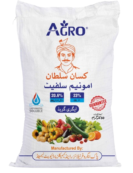 WhatsApp_Image_2025-12-19_at_12.52