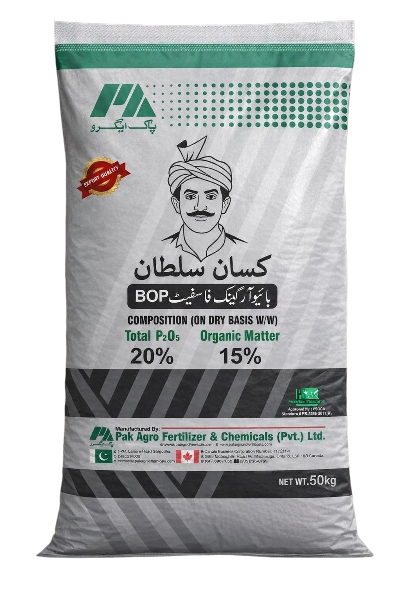 1b4f620b-9e00-4389-91d0-4ac01fc11239_removalai_preview