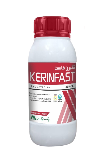 2bb53e4e-82b7-4b69-99cf-5065f815f4df_removalai_preview