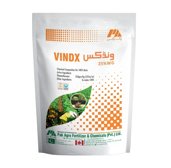 3c747633-8083-41e3-ab69-4a3a5910d51f_removalai_preview