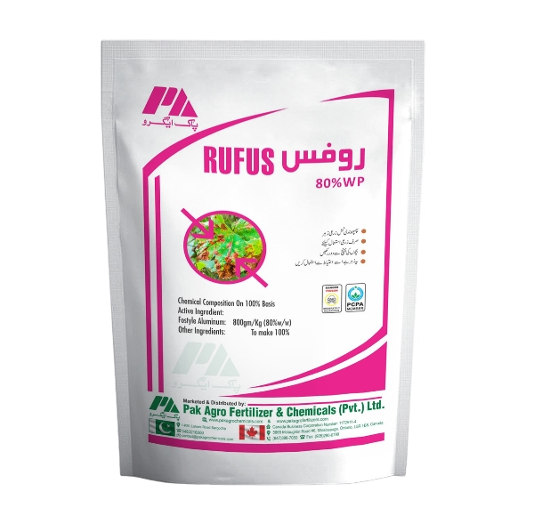 6429402a-a1a2-4942-9e10-5f101cf0b081_removalai_preview