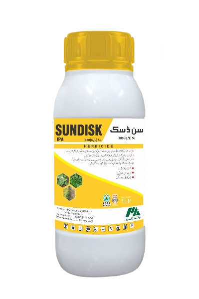 7237d30e-f68e-41ad-a5fb-0206ed997655_removalai_preview