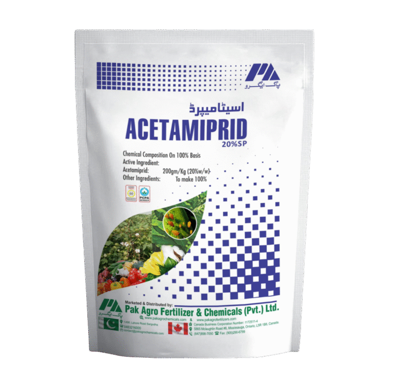 WhatsApp Image 2025-12-19 at 12.47