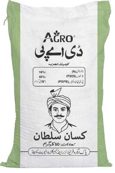 a4c7cb43-e0fc-4910-b7be-fe3dd0d50653_removalai_preview