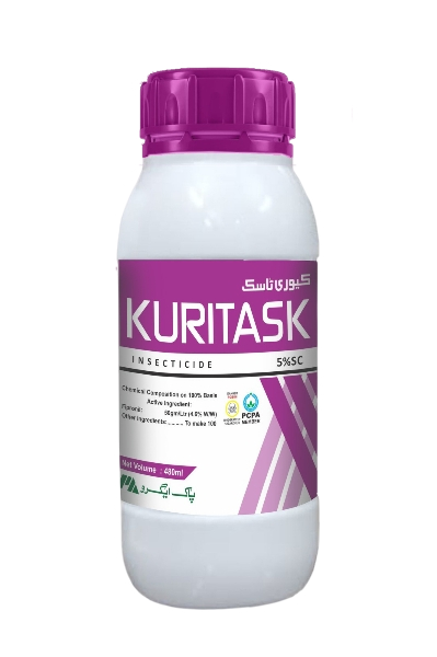 b03487ab-f243-48bf-add2-a72f89b7c05f_removalai_preview