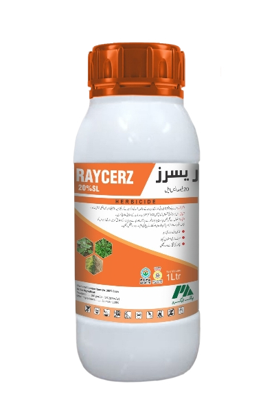 ba2c874c-e91f-42e3-83a6-de3975448029_removalai_preview