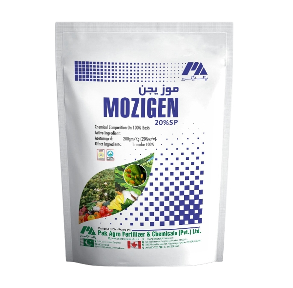 bb8ccfd9-b3b9-4bc5-a11e-065b03d8e13b_removalai_preview