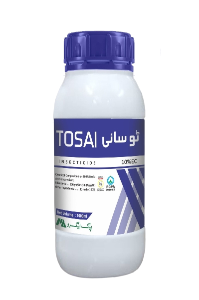 cd04baf2-7005-443f-a9c2-b0a05e141ff0_removalai_preview