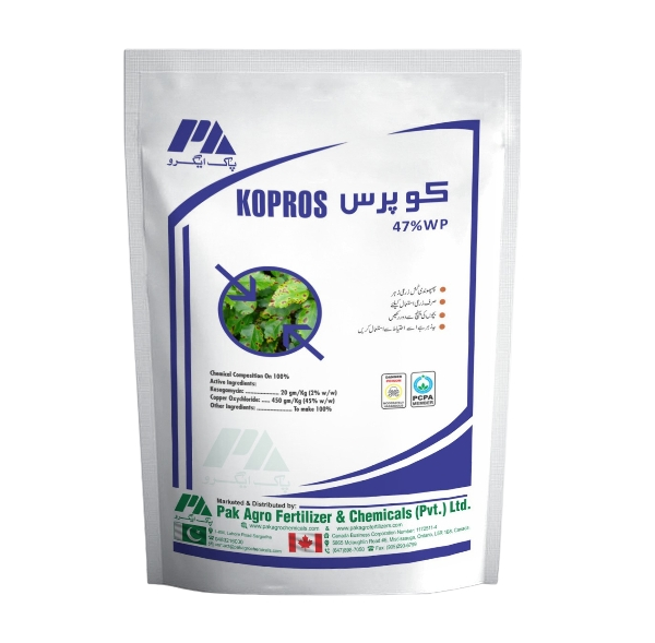 d133a1bd-1b4d-4598-8b13-da520be80fac_removalai_preview